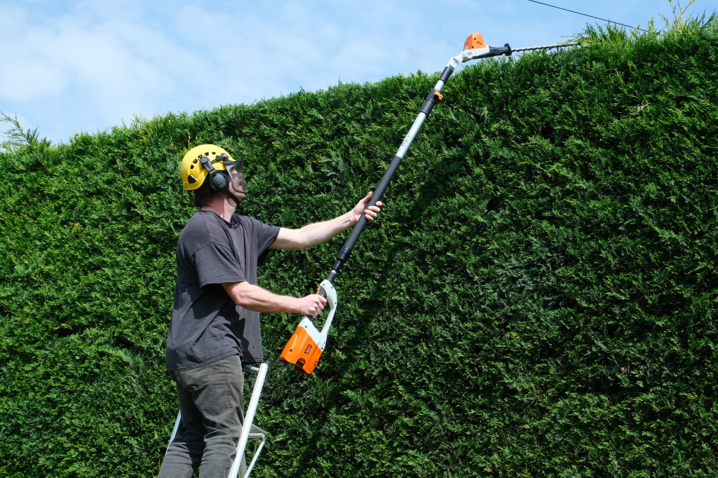 cutting top of hedge